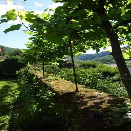 Tatil Evi House Le Chateau De Busqueilles