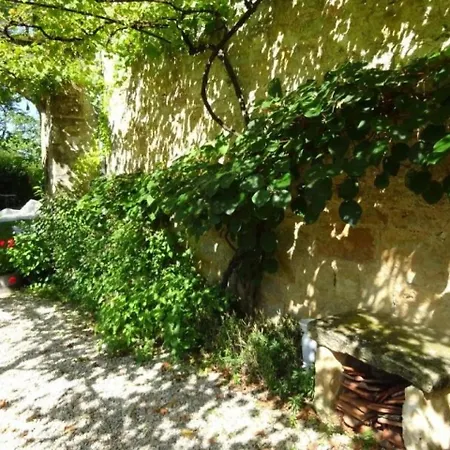 Tatil Evi House Le Chateau De Busqueilles